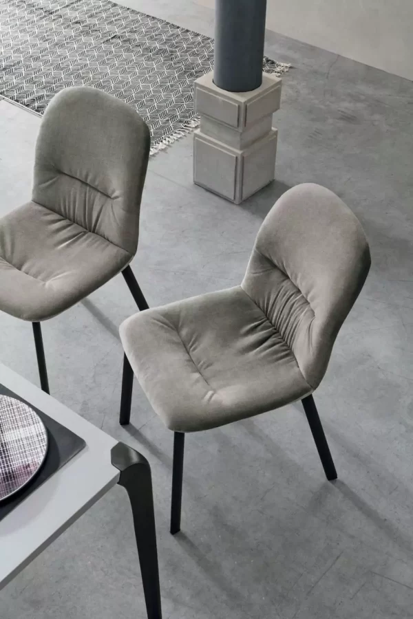 cloe exciting modern dining chair by sedit 2024